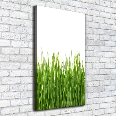 Tableau sur toile Herbe verte