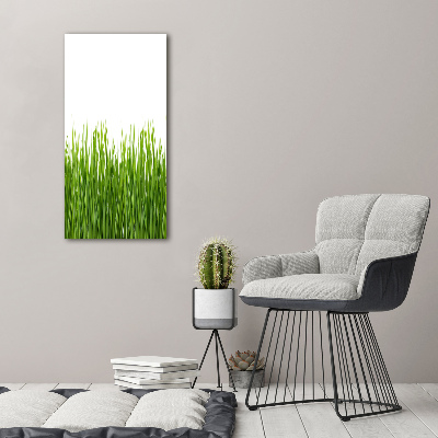 Tableau sur toile Herbe verte