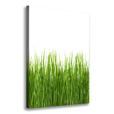 Tableau sur toile Herbe verte