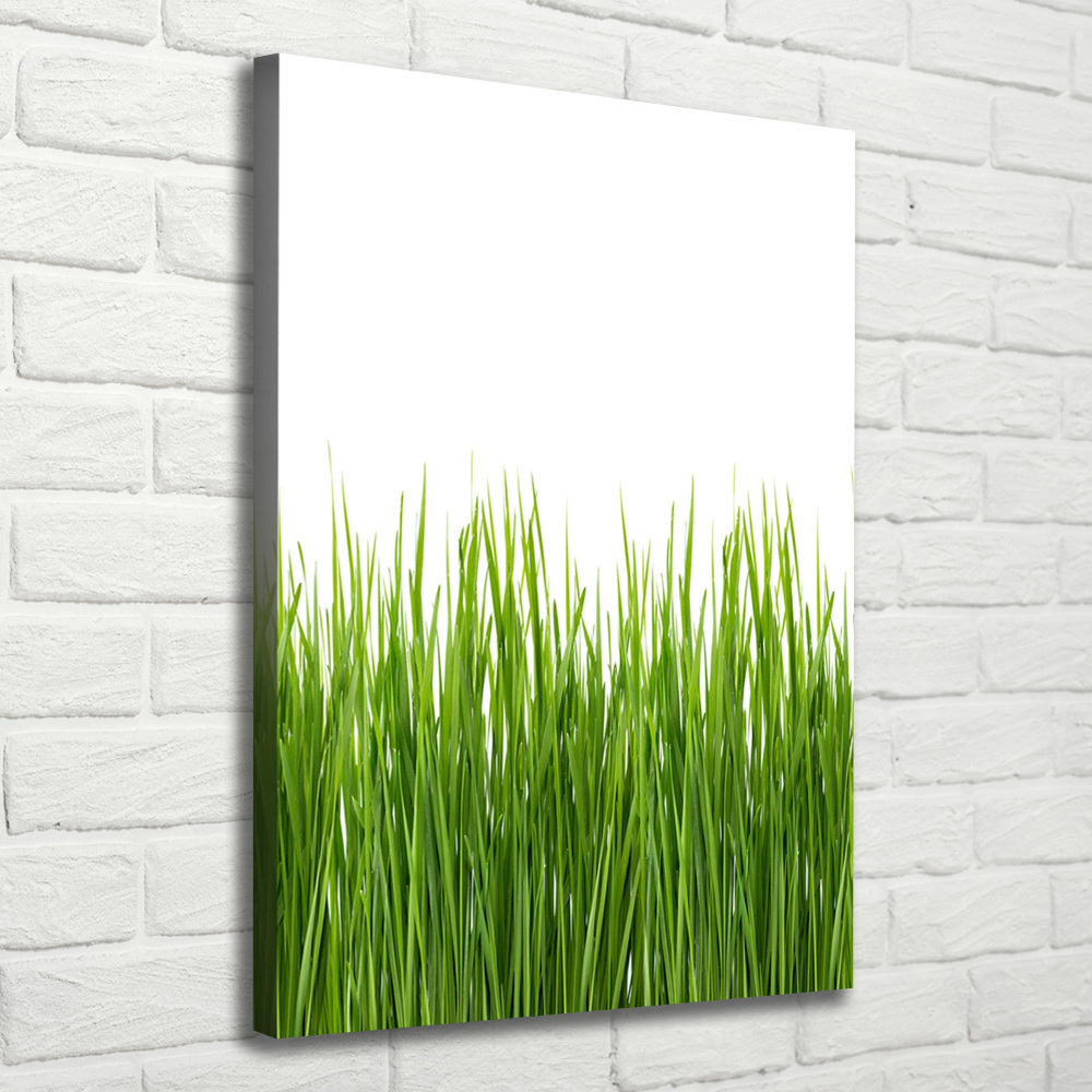 Tableau sur toile Herbe verte