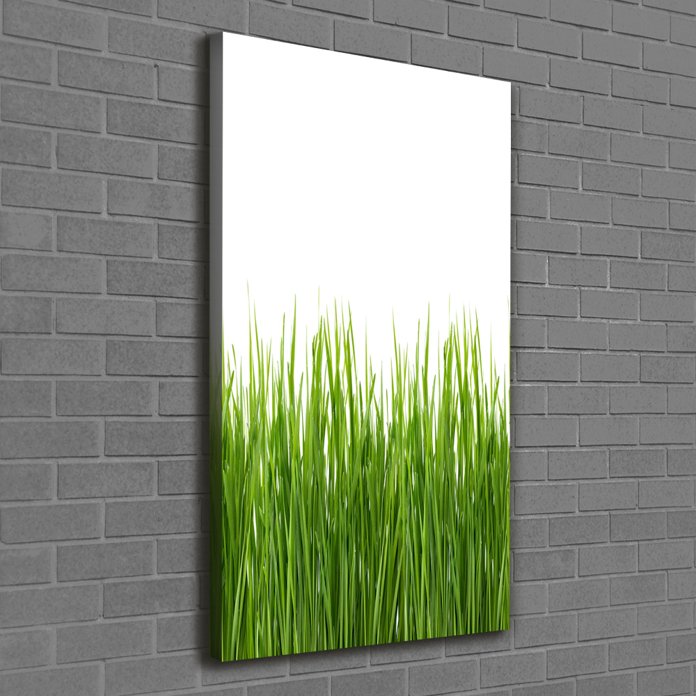 Tableau sur toile Herbe verte