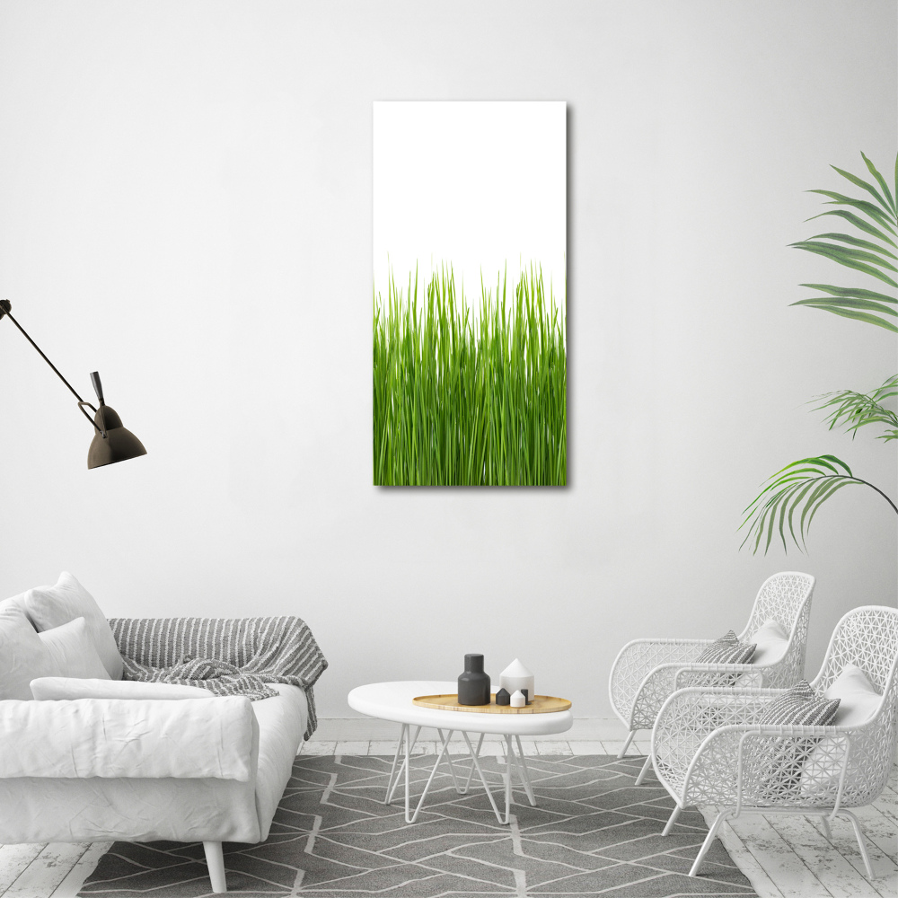 Tableau sur toile Herbe verte