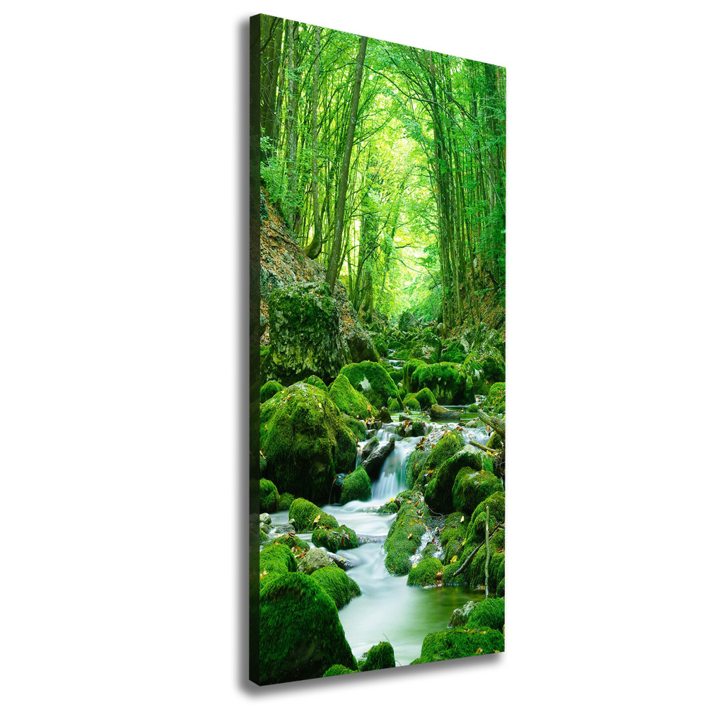 Tableau photo sur toile Ruisseau dans la jungle