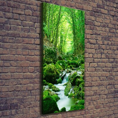 Tableau photo sur toile Ruisseau dans la jungle