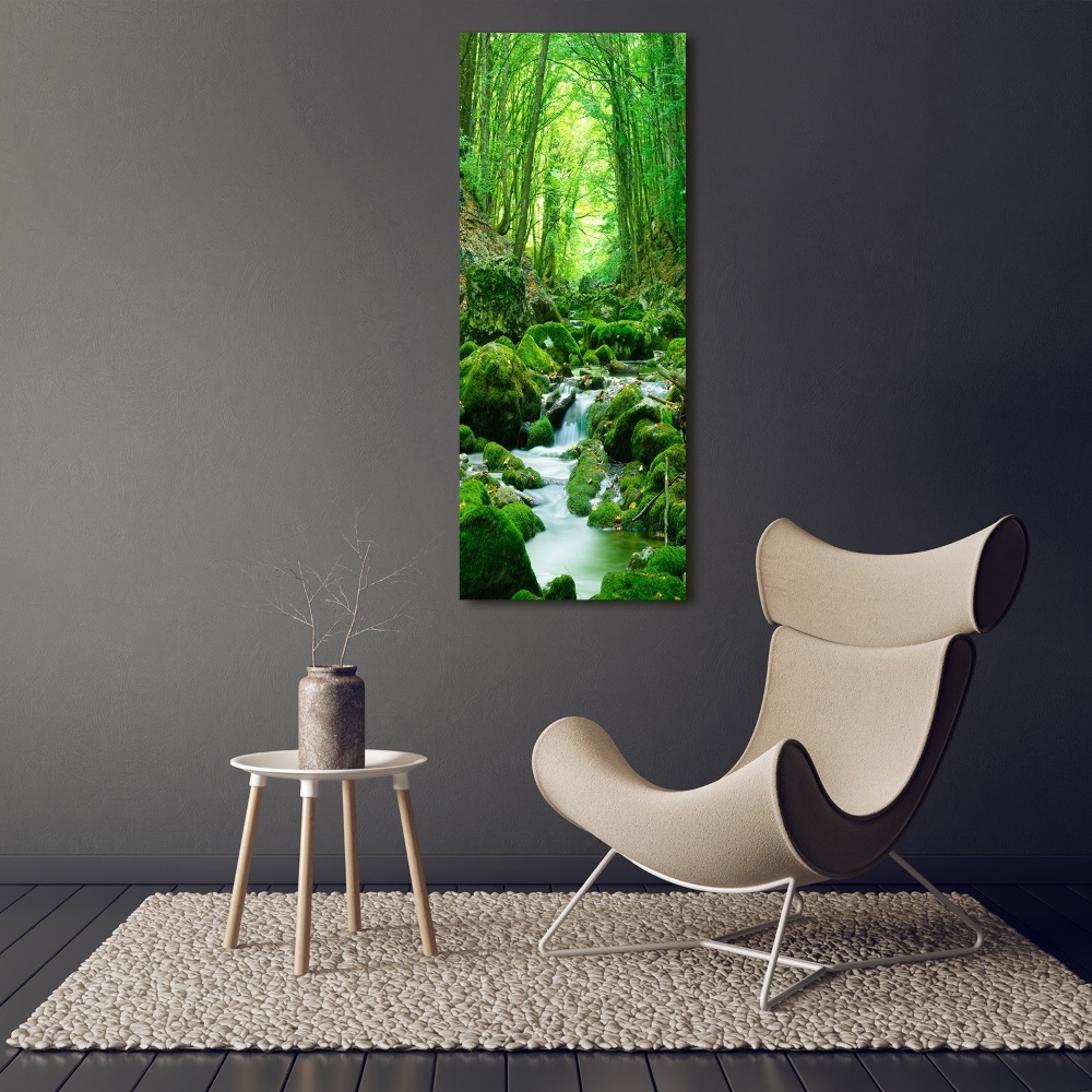 Tableau photo sur toile Ruisseau dans la jungle