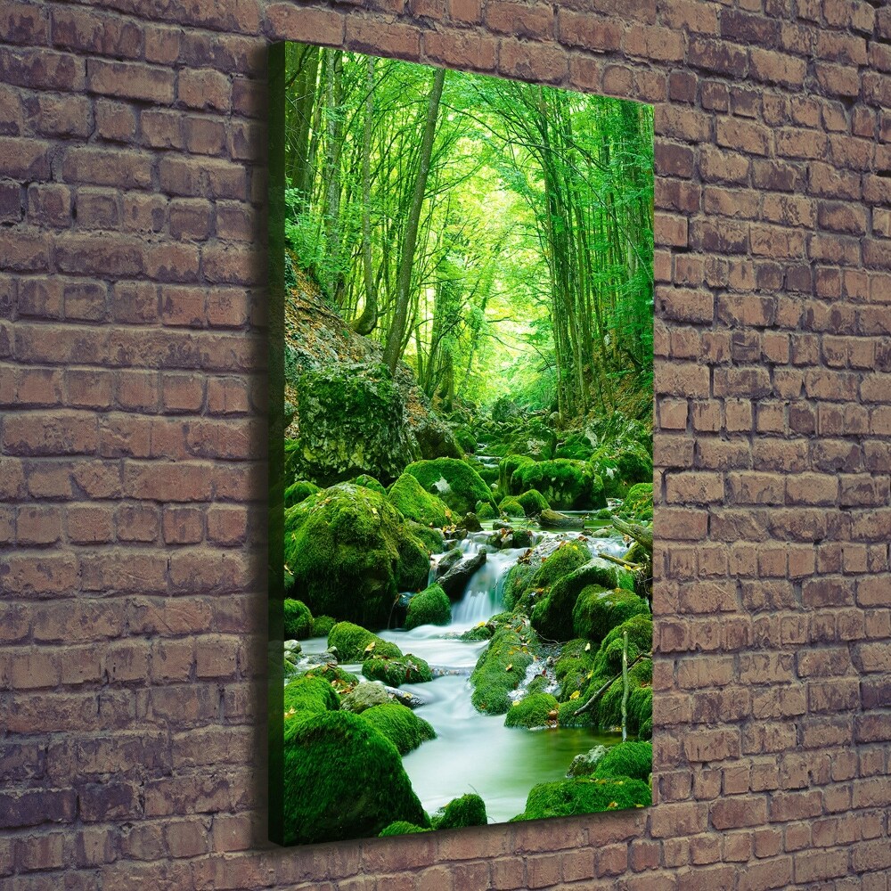 Tableau photo sur toile Ruisseau dans la jungle