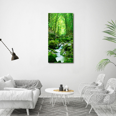 Tableau photo sur toile Ruisseau dans la jungle