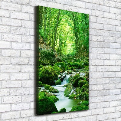 Tableau photo sur toile Ruisseau dans la jungle