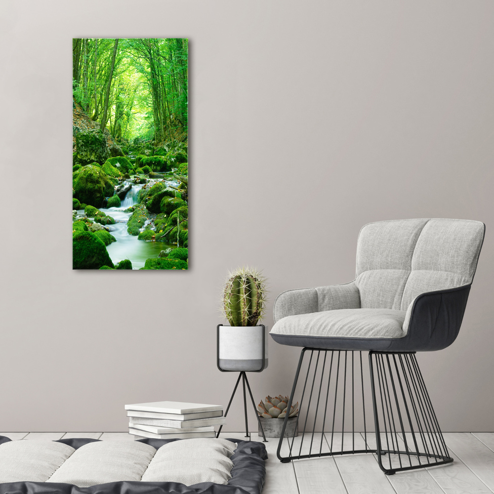 Tableau photo sur toile Ruisseau dans la jungle