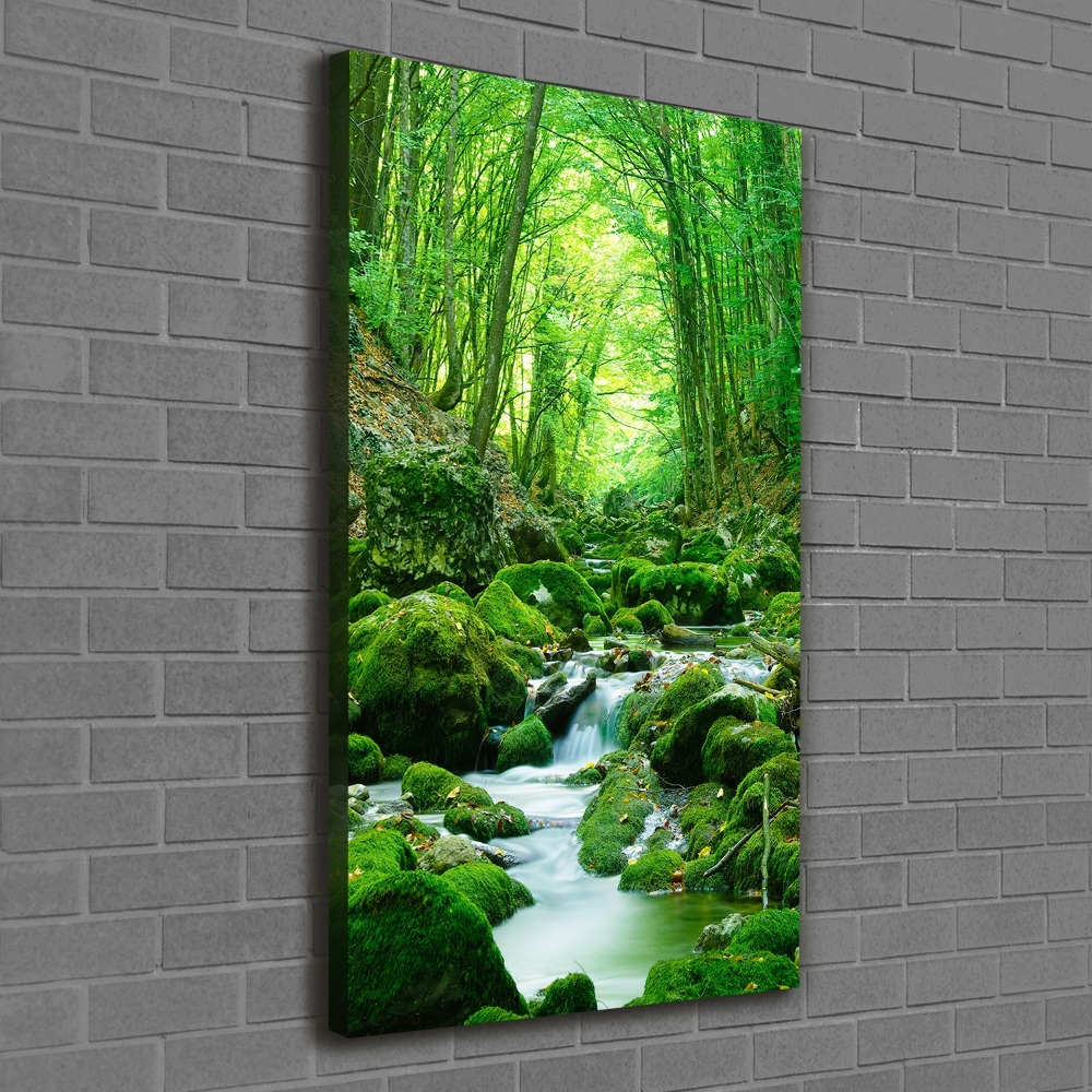 Tableau photo sur toile Ruisseau dans la jungle