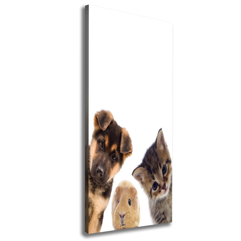 Tableau mural sur toile Animaux de compagnie