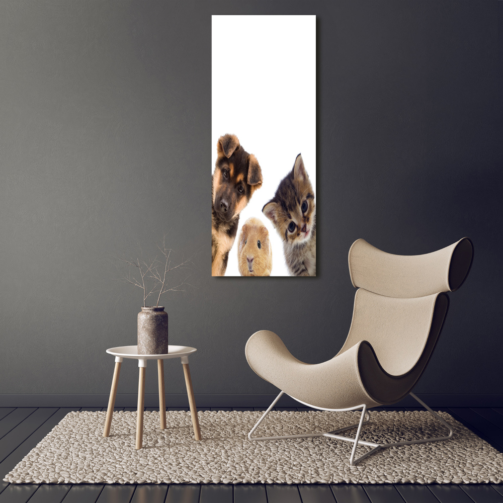 Tableau mural sur toile Animaux de compagnie