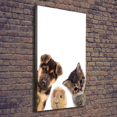 Tableau mural sur toile Animaux de compagnie