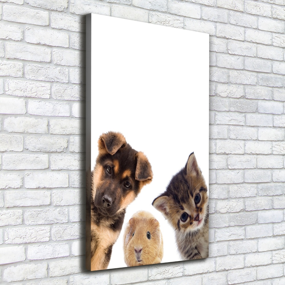 Tableau mural sur toile Animaux de compagnie