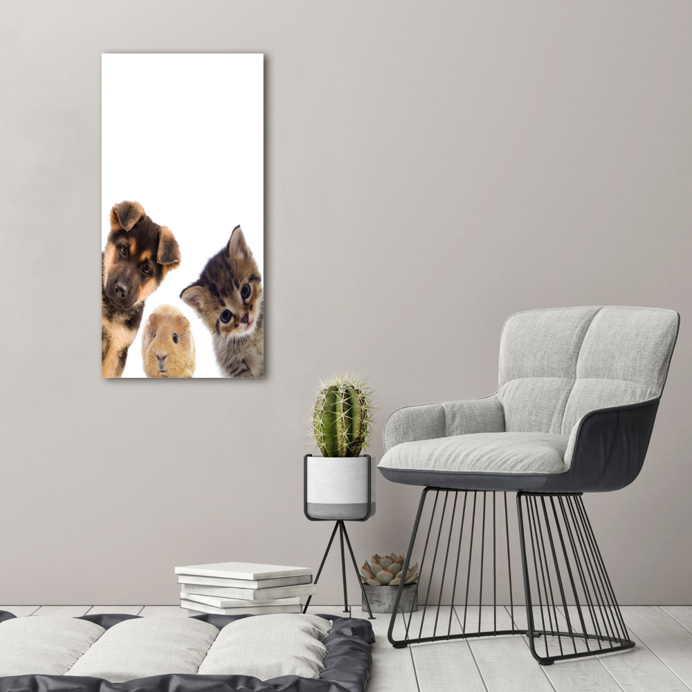 Tableau mural sur toile Animaux de compagnie