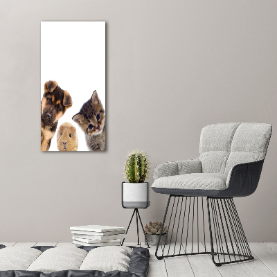 Tableau mural sur toile Animaux de compagnie