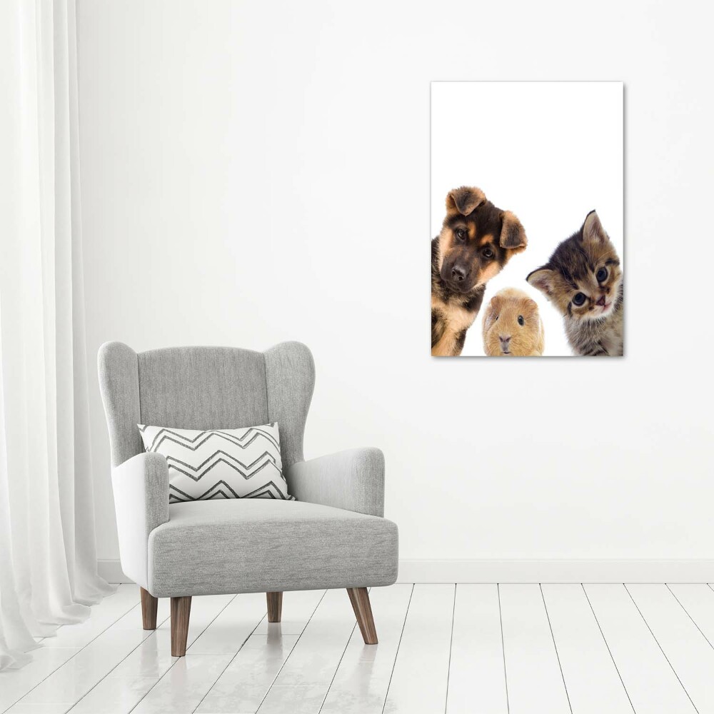 Tableau mural sur toile Animaux de compagnie