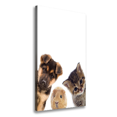 Tableau mural sur toile Animaux de compagnie