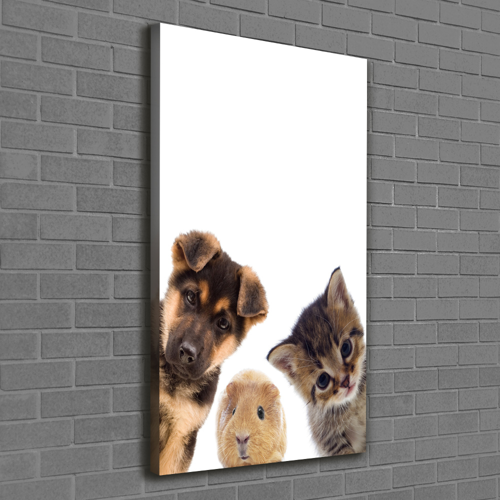 Tableau mural sur toile Animaux de compagnie