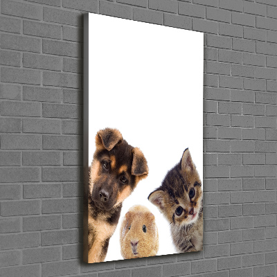 Tableau mural sur toile Animaux de compagnie