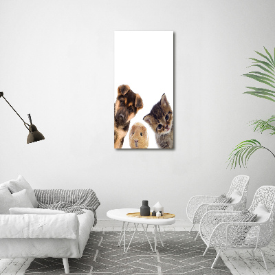 Tableau mural sur toile Animaux de compagnie