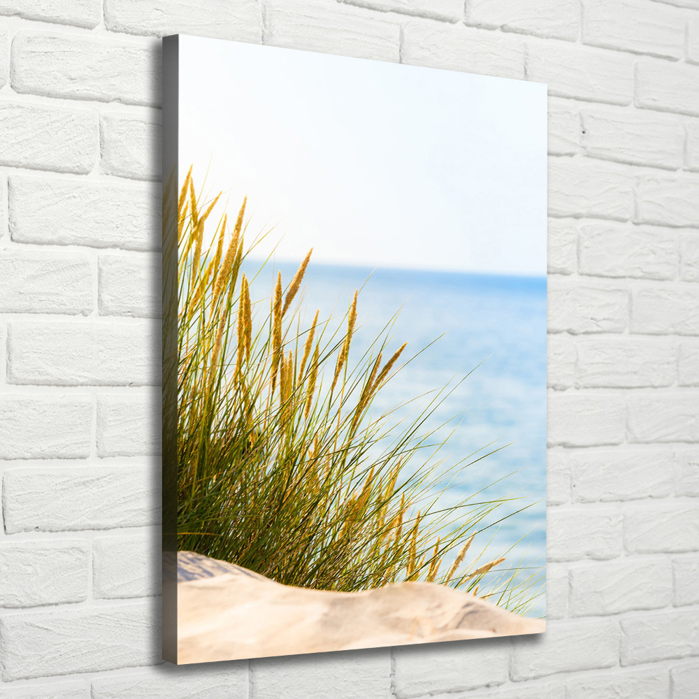 Tableau toile imprimée Dunes en bord de mer