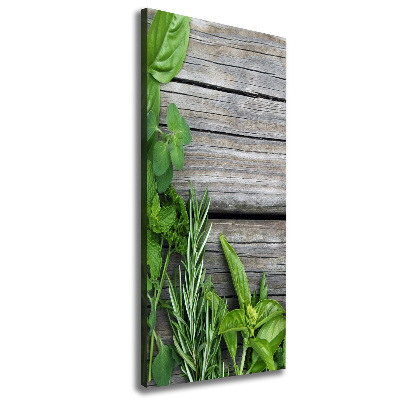 Tableau imprimé sur toile Herbes sur bois