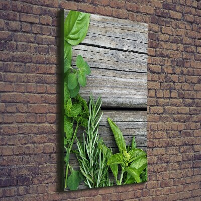 Tableau imprimé sur toile Herbes sur bois