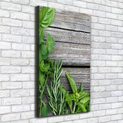 Tableau imprimé sur toile Herbes sur bois