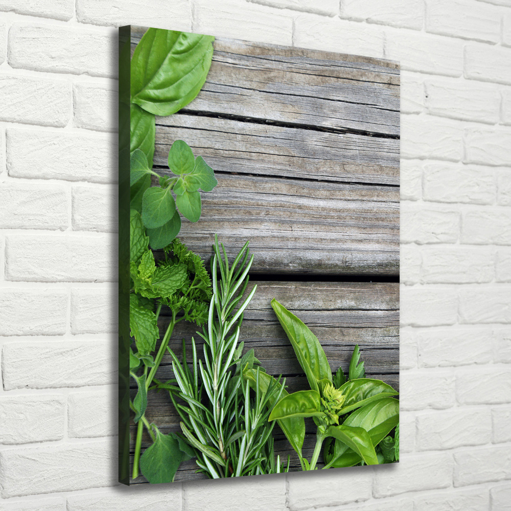 Tableau imprimé sur toile Herbes sur bois