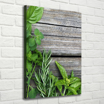 Tableau imprimé sur toile Herbes sur bois