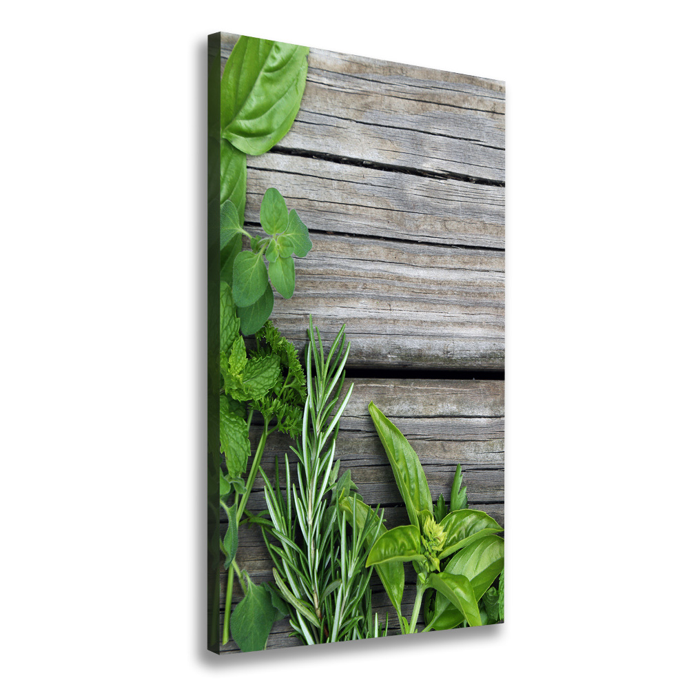 Tableau imprimé sur toile Herbes sur bois