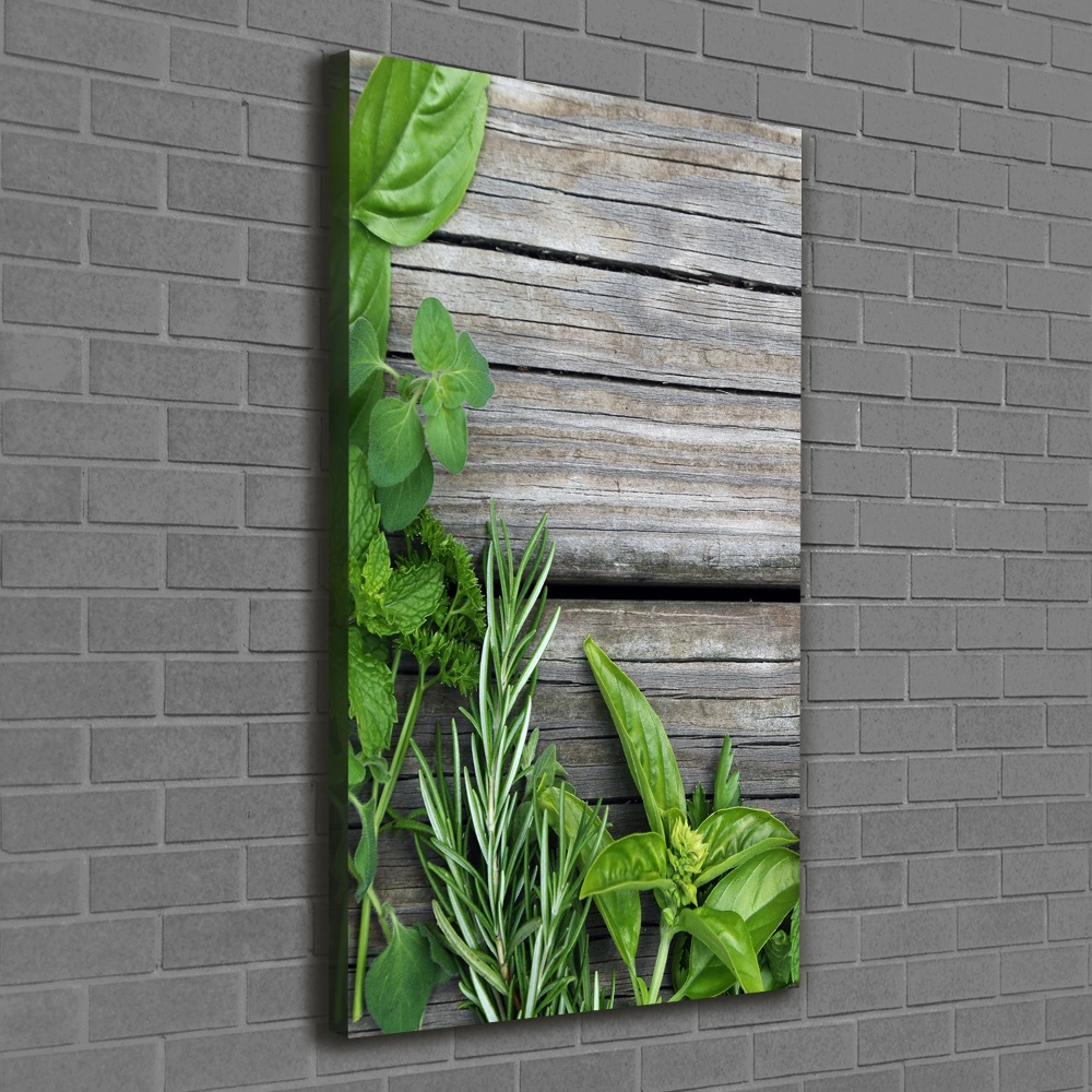 Tableau imprimé sur toile Herbes sur bois