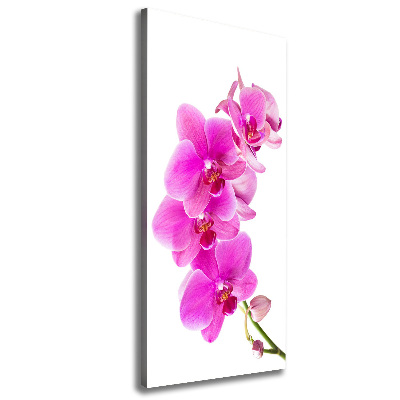 Tableau photo sur toile Orchidée rose