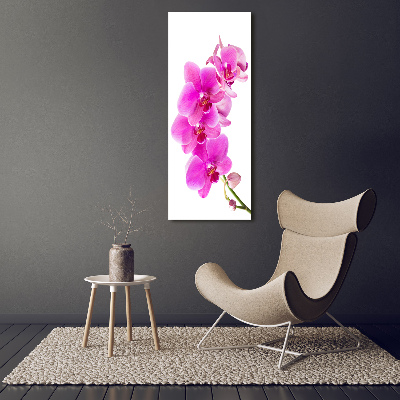 Tableau photo sur toile Orchidée rose