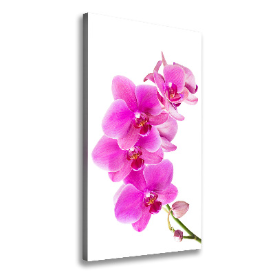 Tableau photo sur toile Orchidée rose