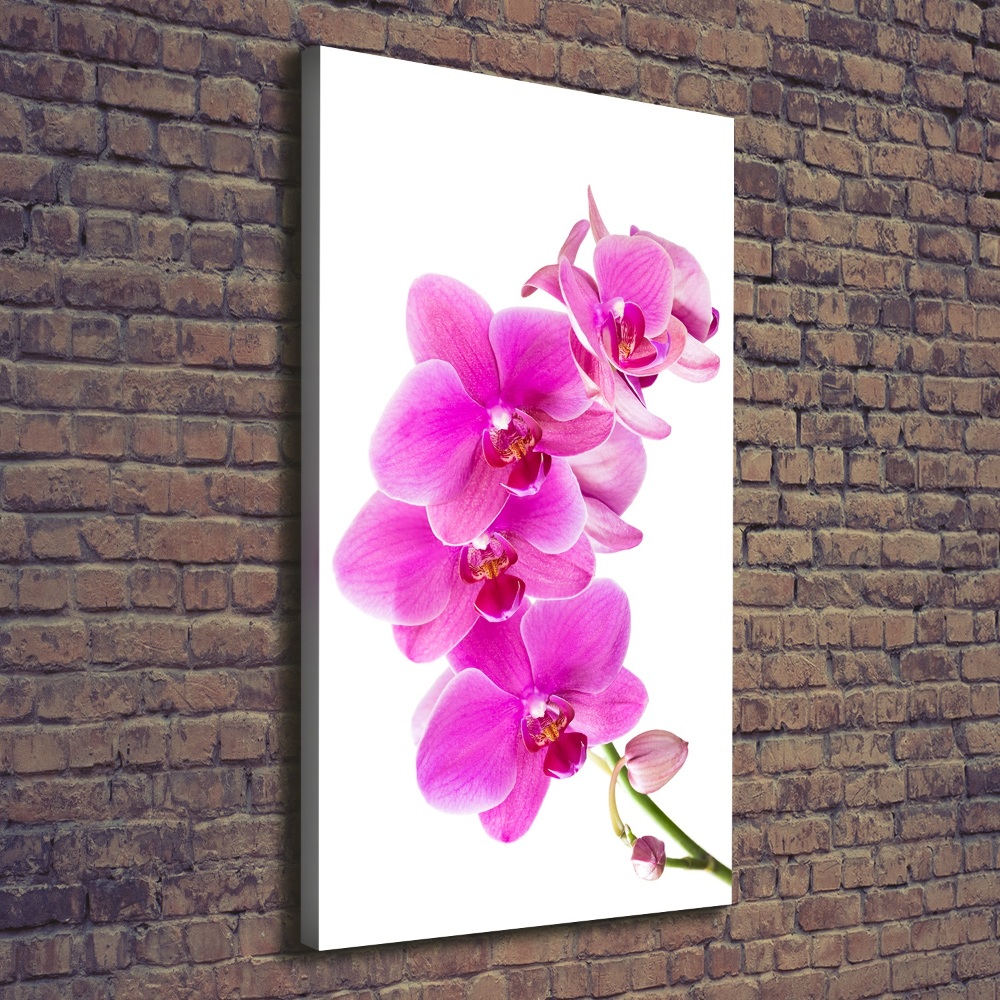 Tableau photo sur toile Orchidée rose