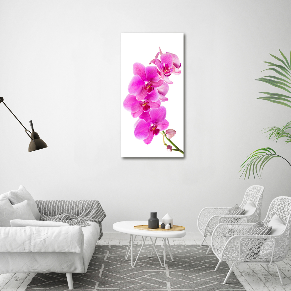 Tableau photo sur toile Orchidée rose