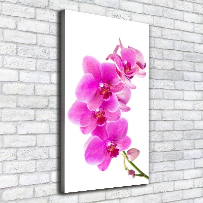 Tableau photo sur toile Orchidée rose