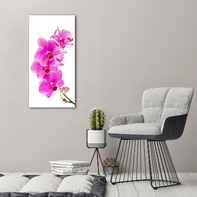 Tableau photo sur toile Orchidée rose