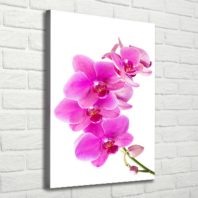 Tableau photo sur toile Orchidée rose