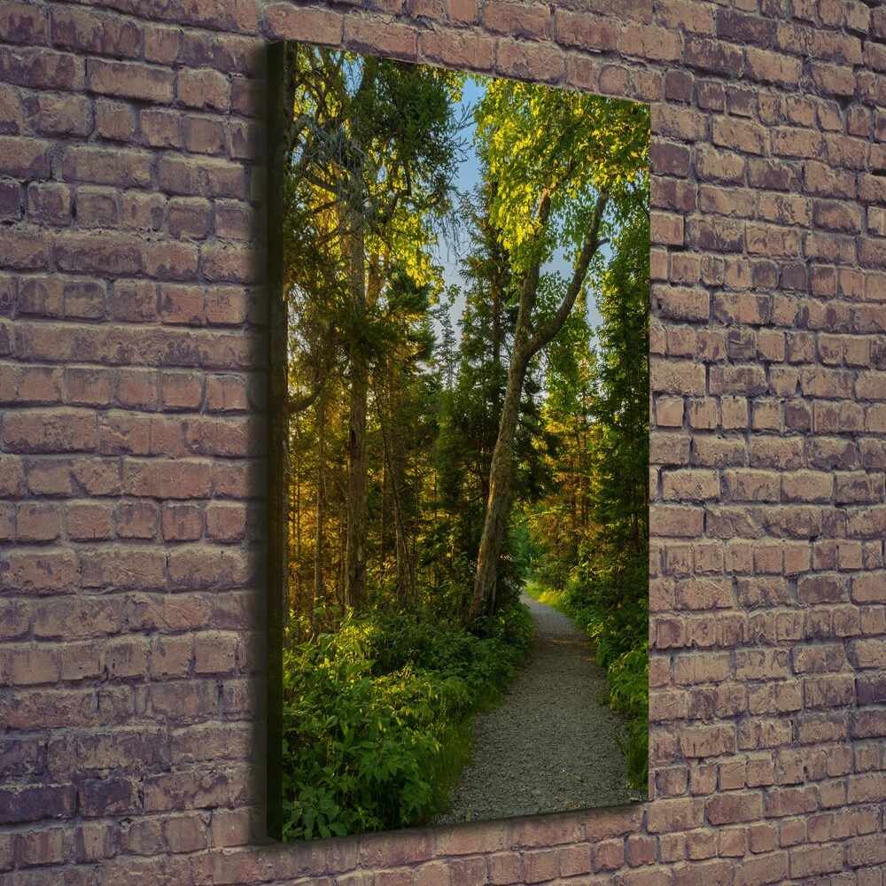 Tableau mural sur toile Un chemin dans la forêt