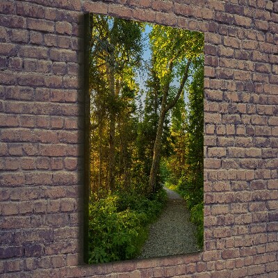 Tableau mural sur toile Un chemin dans la forêt