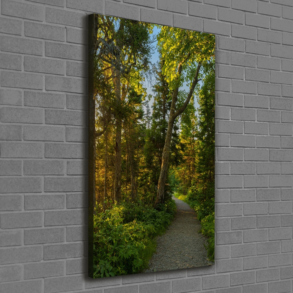 Tableau mural sur toile Un chemin dans la forêt