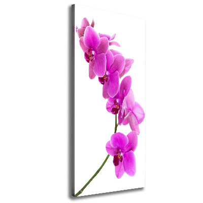 Tableau mural sur toile Orchidée rose fleur