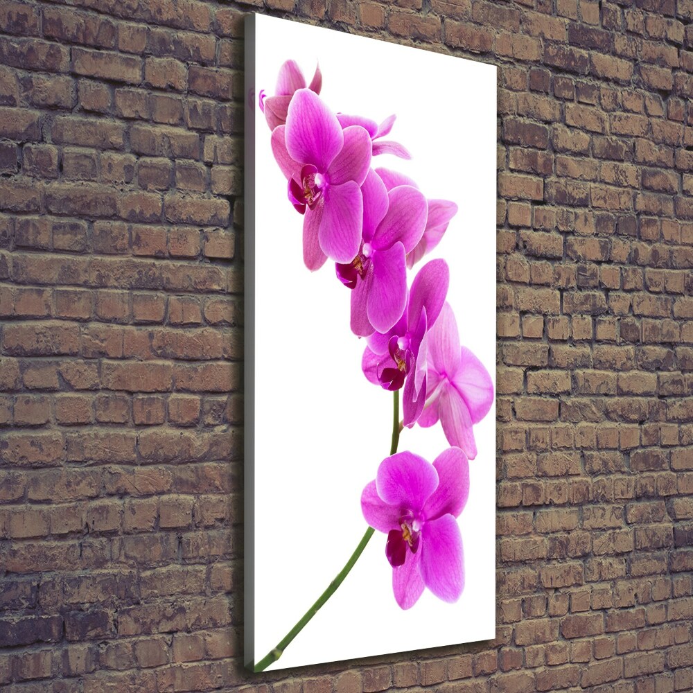 Tableau mural sur toile Orchidée rose fleur