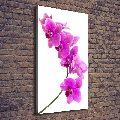 Tableau mural sur toile Orchidée rose fleur