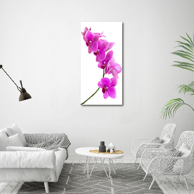 Tableau mural sur toile Orchidée rose fleur