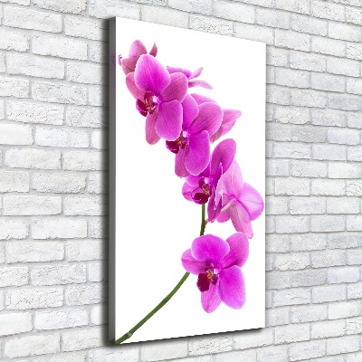 Tableau mural sur toile Orchidée rose fleur