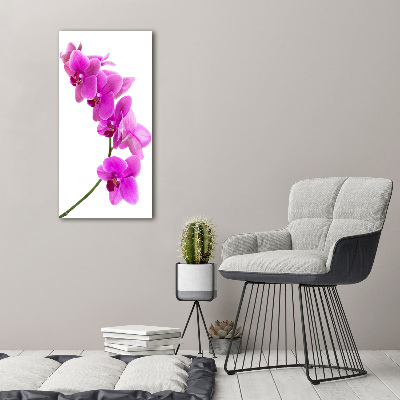 Tableau mural sur toile Orchidée rose fleur